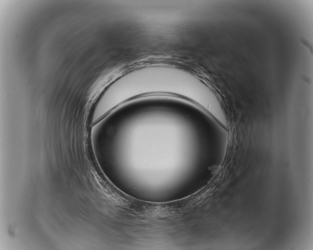 X0000102300293200808011546