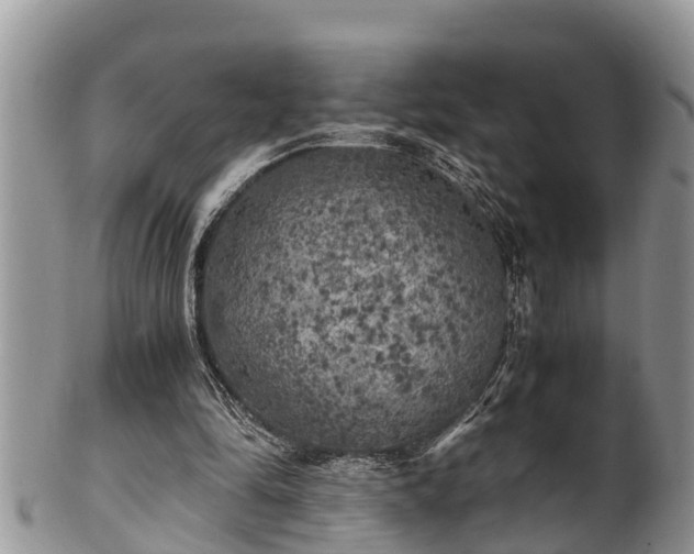 X0000102300294200808011546