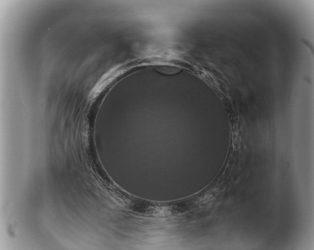 X0000102300295200808011546