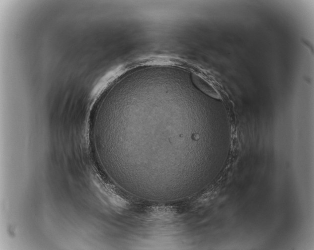 X0000102300296200808011546