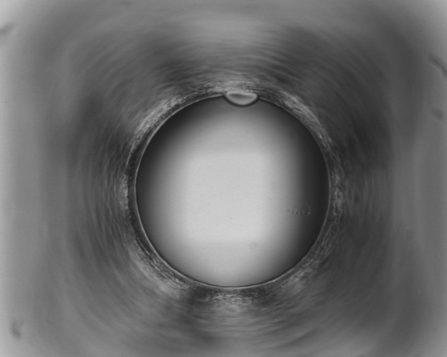 X0000102300298200808011546