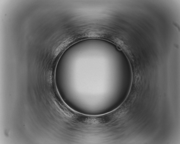 X0000102300299200808011546