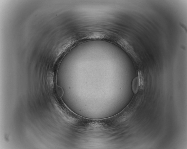 X0000102300300200808011546