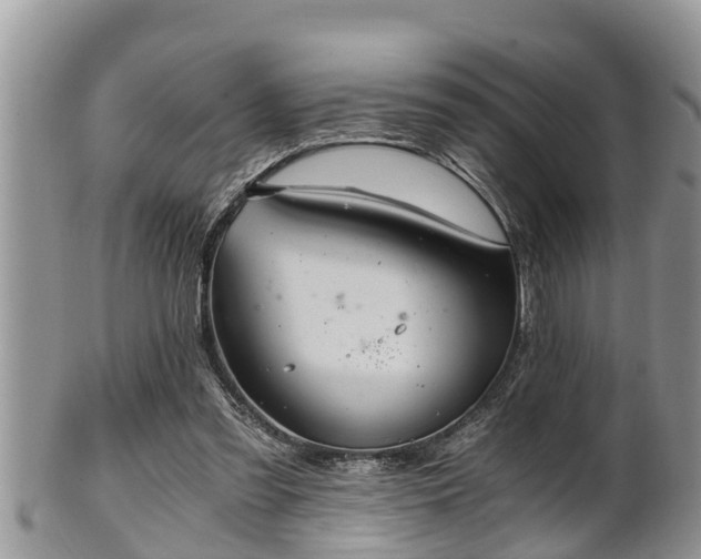 X0000102300301200808011546