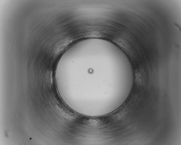 X0000102300302200808011546