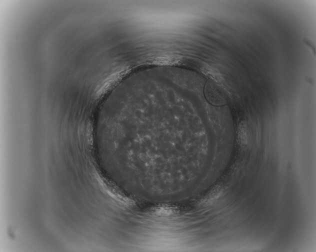 X0000102300303200808011546