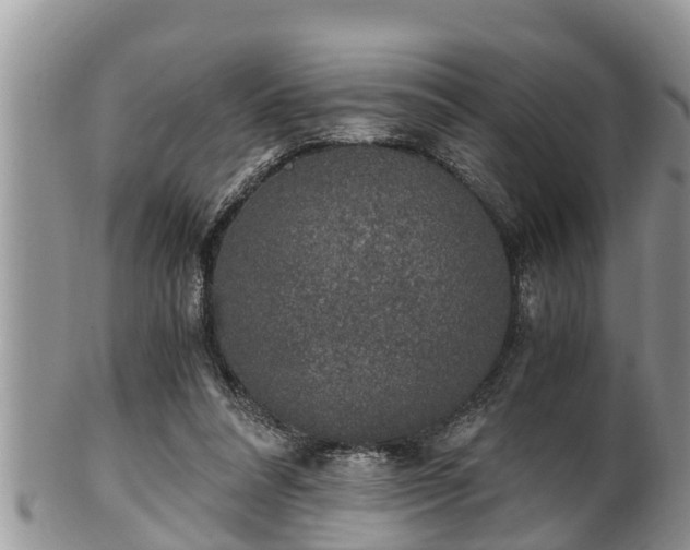 X0000102300304200808011546