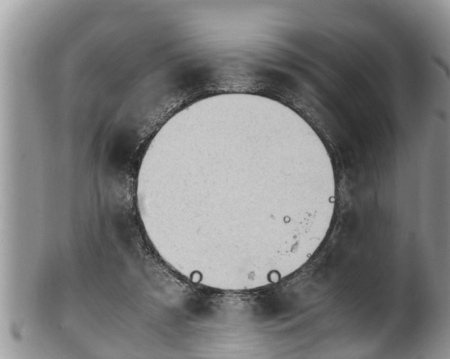 X0000102300305200808011546