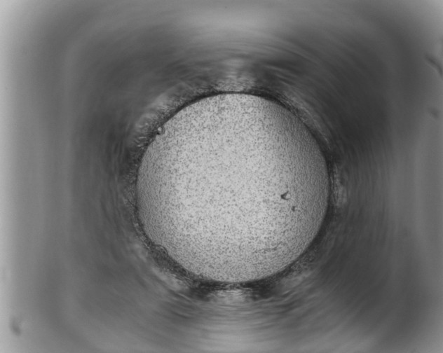 X0000102300307200808011546