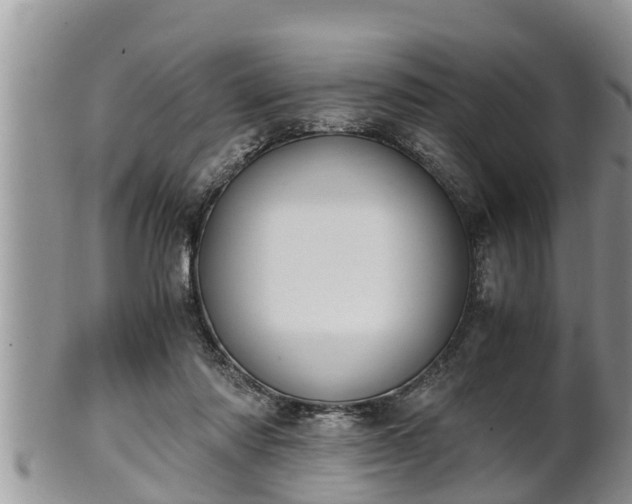 X0000102300310200808011546