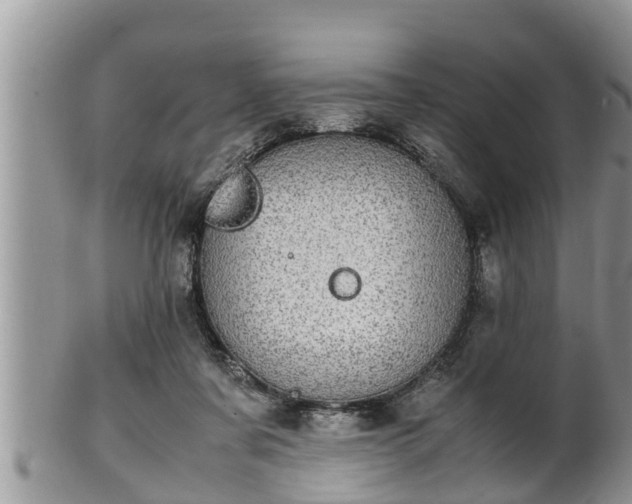 X0000102300311200808011546