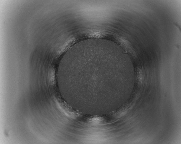 X0000102300312200808011546