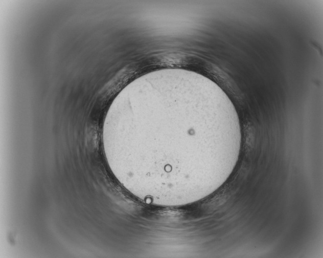 X0000102300313200808011546