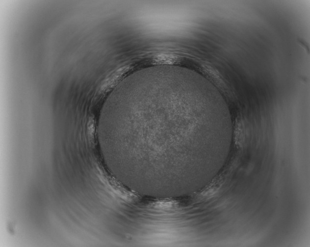 X0000102300314200808011546