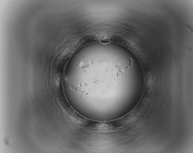 X0000102300315200808011546