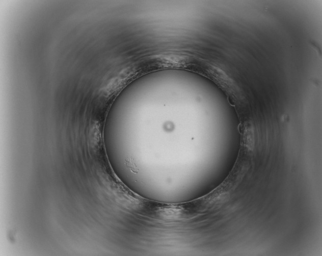 X0000102300318200808011546