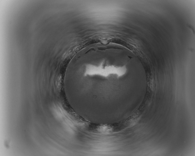 X0000102300319200808011546