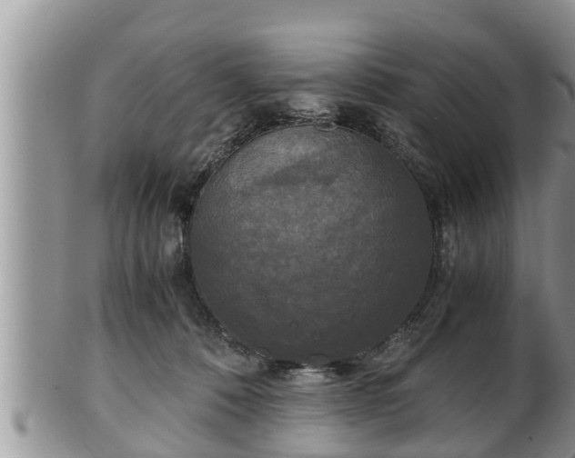 X0000102300320200808011546