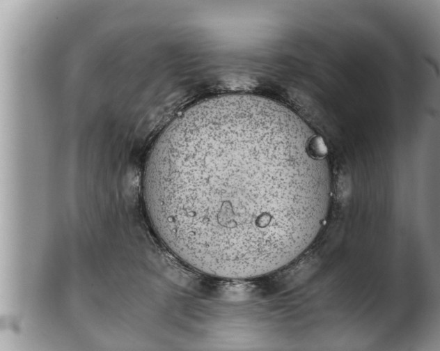 X0000102300321200808011546