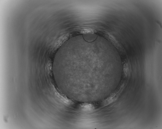 X0000102300322200808011546