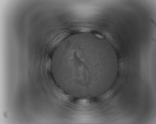 X0000102300325200808011546