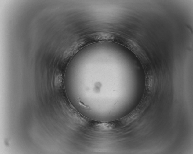 X0000102300326200808011546