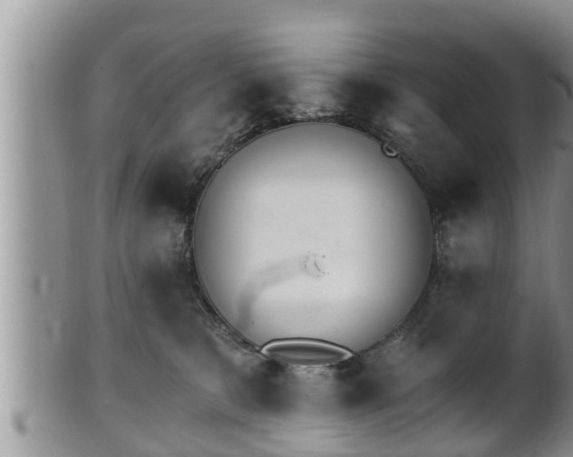 X0000102300327200808011546