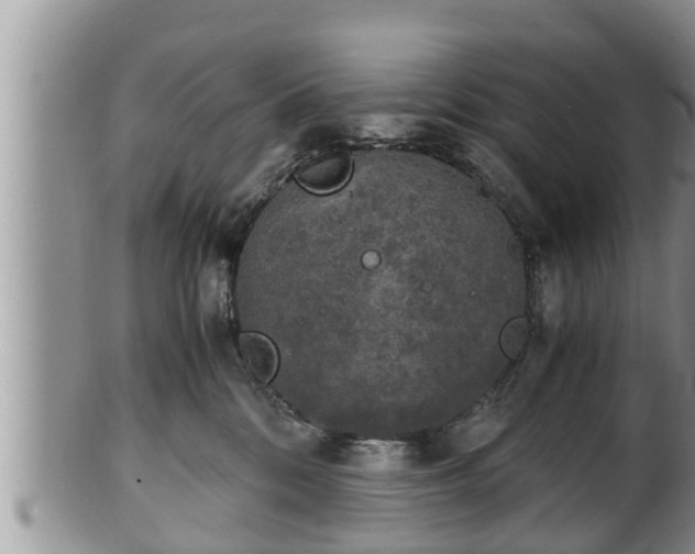 X0000102300328200808011546