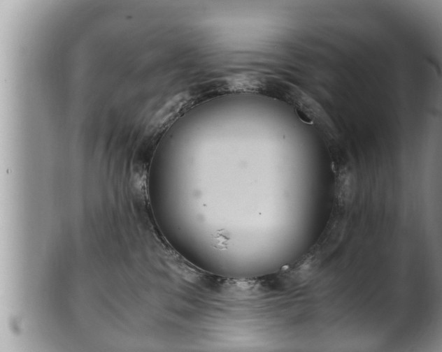 X0000102300329200808011546