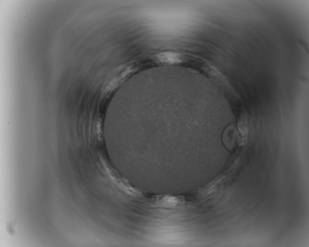 X0000102300330200808011546