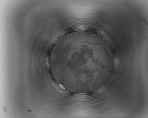 X0000102300331200808011546