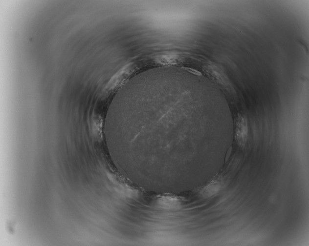 X0000102300332200808011546