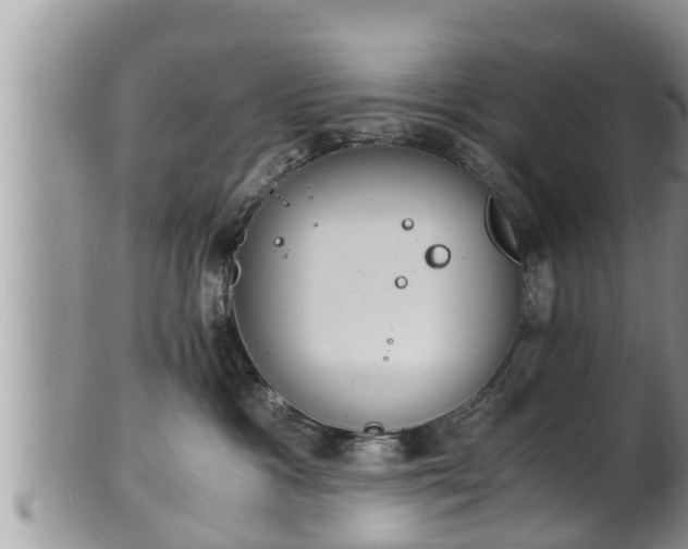 X0000102300333200808011546