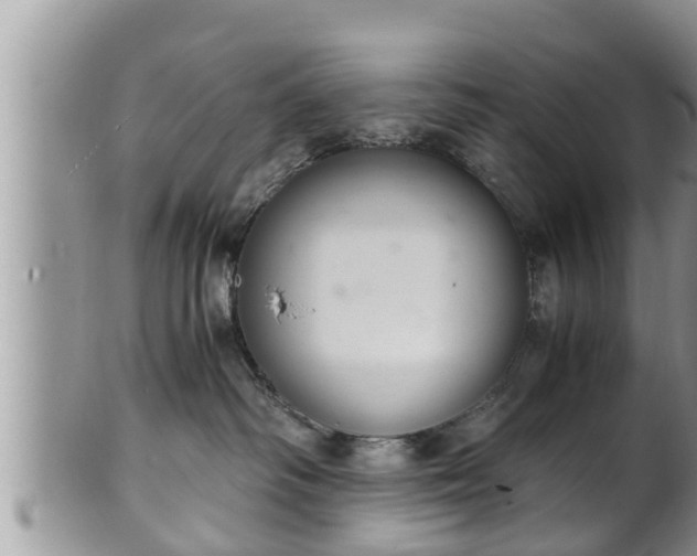 X0000102300334200808011545