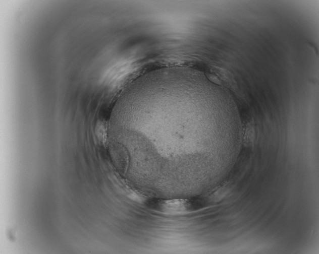 X0000102300335200808011545