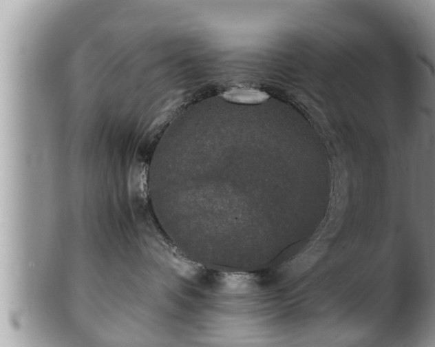 X0000102300336200808011545