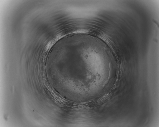 X0000102300337200808011545