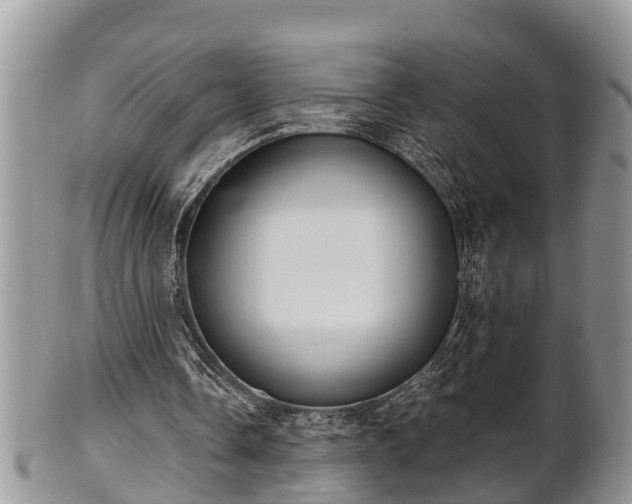 X0000102300338200808011545