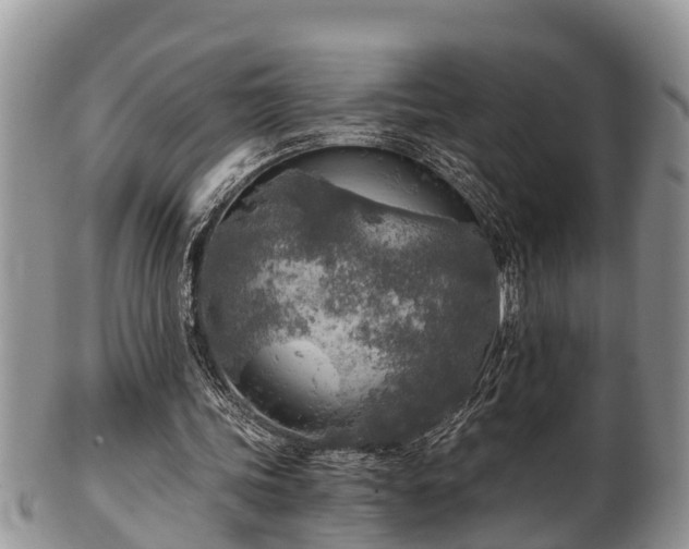 X0000102300339200808011545