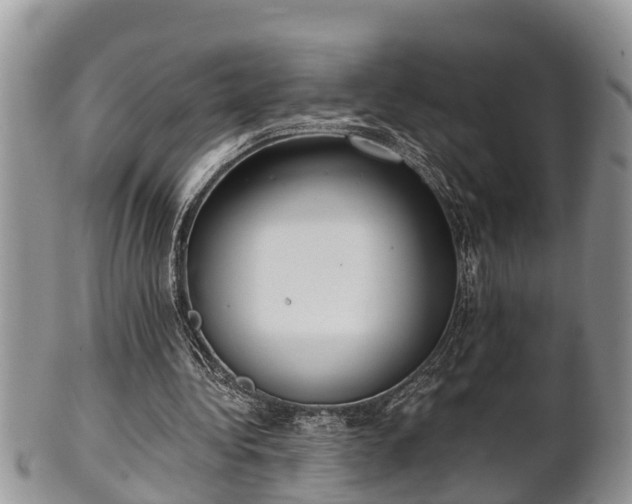 X0000102300340200808011545