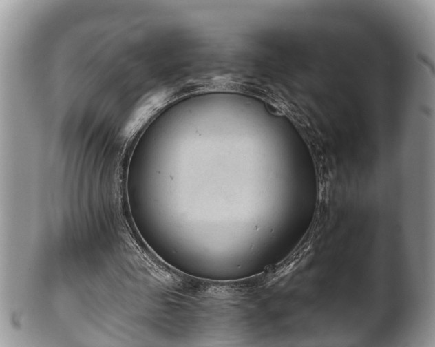 X0000102300341200808011545