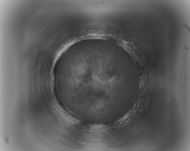 X0000102300342200808011545