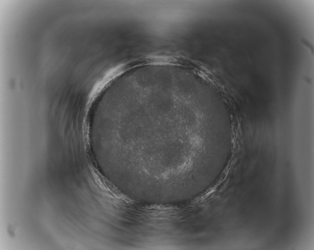 X0000102300343200808011545