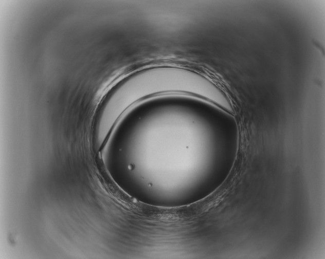 X0000102300344200808011545