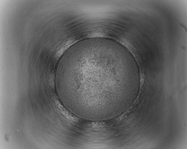 X0000102300345200808011545