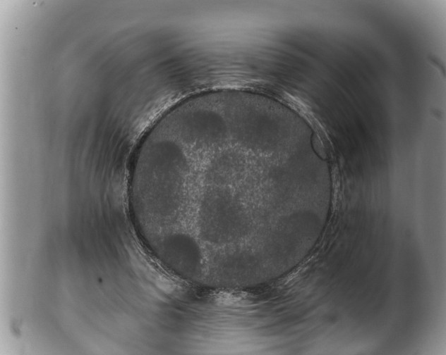 X0000102300346200808011545