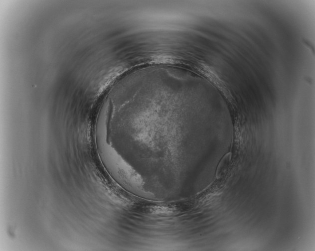 X0000102300347200808011545