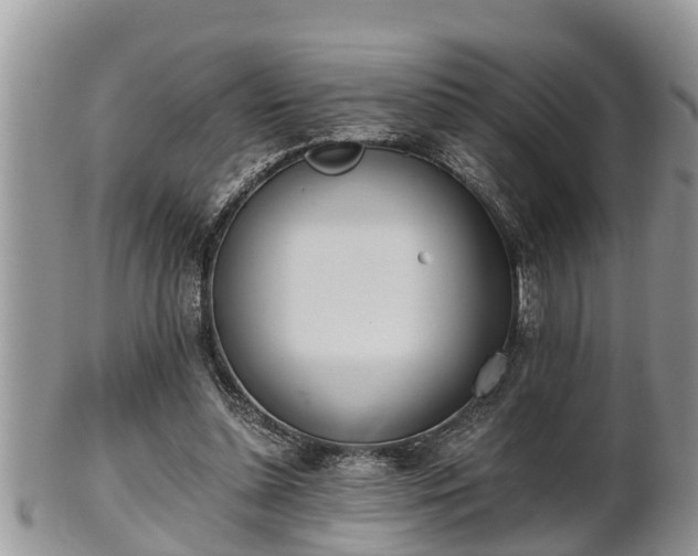 X0000102300348200808011545