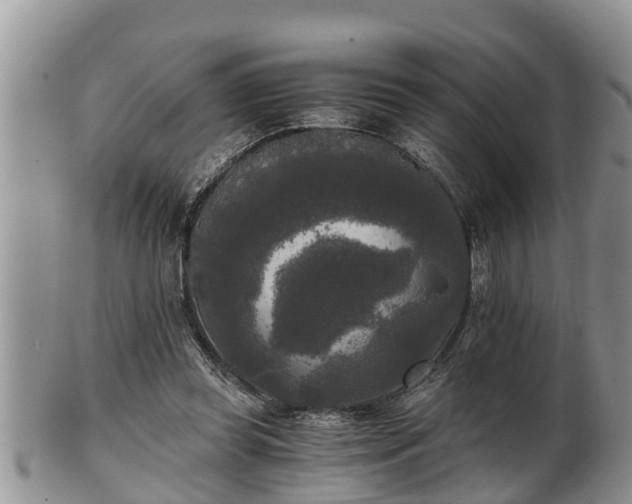 X0000102300349200808011545