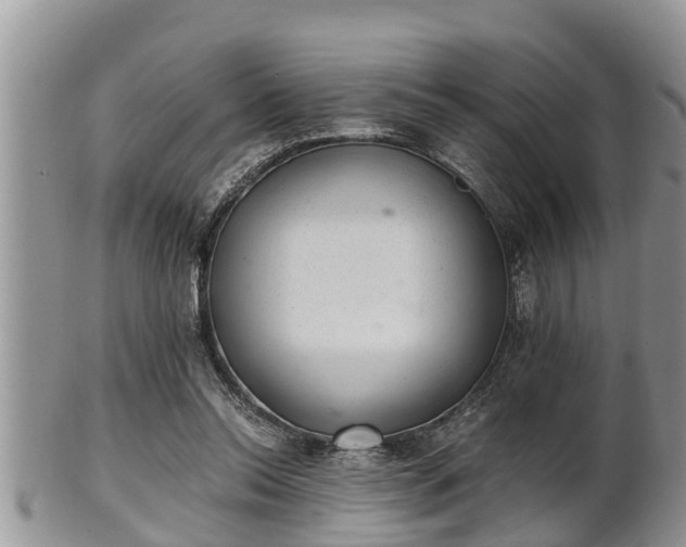 X0000102300350200808011545